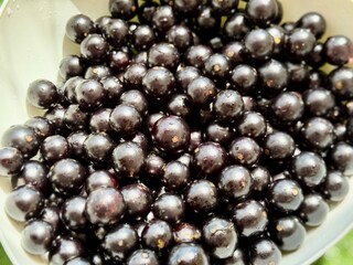 Jabuticabas frescas e brilhantes, colhidas do pé, exibem toda a riqueza e o sabor autêntico do Brasil. Frutas tropicais cheias de cor, frescor e natureza em cada detalhe.