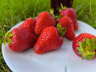 ripe fresh strawberries in a plate close-up on green grass background