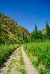 a serene mountain landscape with a winding dirt path in Almaty mountain. Natural beauty of the Alatau and Tian Shan mointains . For travel brochures, nature calendars, or materials for eco-tourism