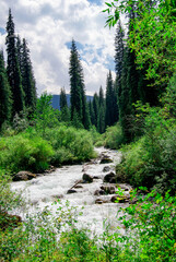 Natural beauty of the Tian Shan mountains near Almaty. Fast-flowing river cuts through a lush, green landscape. for travel brochures, nature calendars, or promotional materials for tourism