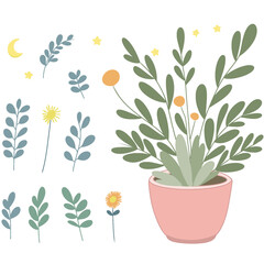 Potted plants set. Interior houseplants in planters, baskets, flowerpots. Home indoor green decor. Set collection vector illustration watercolor 