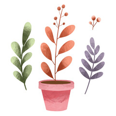 Potted plants set. Interior houseplants in planters, baskets, flowerpots. Home indoor green decor. Set collection vector illustration watercolor 