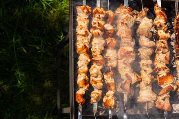 grilled meat on skewers