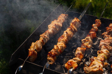 barbecue shashashlik