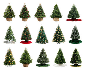 Obraz premium PNG Diverse festive Christmas tree collection, element set on transparent background