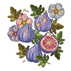 Beautiful composition with figs on a branch