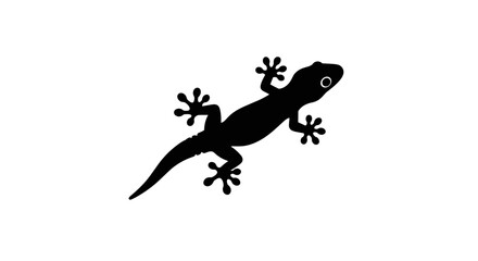 Silhouette of a Gecko on White Background.