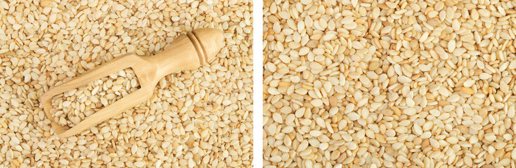 Sesame seeds as a background. Top view. Flat lay