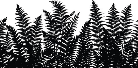 Detailed black silhouette of lush green fern fronds against a bright white background in a striking graphic style