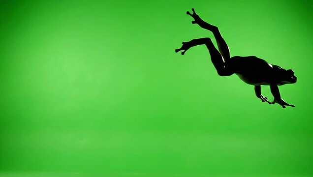 Silhouette of a frog leaping on a greenscreen for quick action, reaction shots, and energetic transition content
