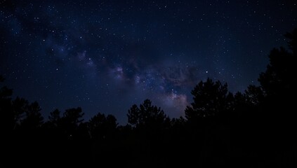 A dark night sky filled with stars, illuminated by the milky way, over a forest of trees.