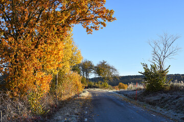 Cold autumn morning in Sweden