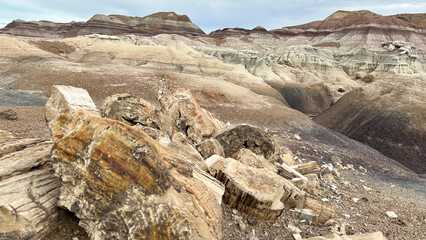 Petrified Forest painted desert