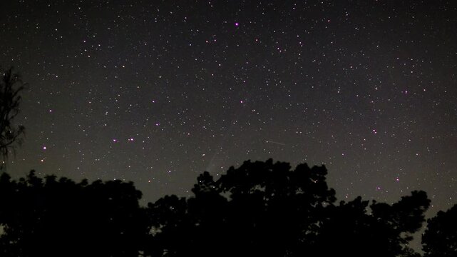 Comet c2025 a6 Lemmon on night sky. 4k timelapse with starry sky.