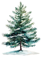 Fototapeta premium PNG A pine tree christmas festival conifer.
