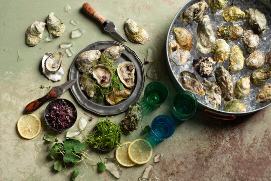 Oyster