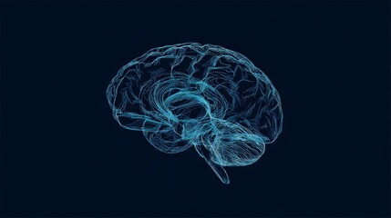 Human brain wireframe, digital line art, neural network structure on dark background