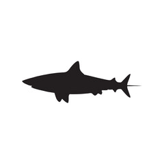 Fototapeta premium silhouette of a black shark swimming