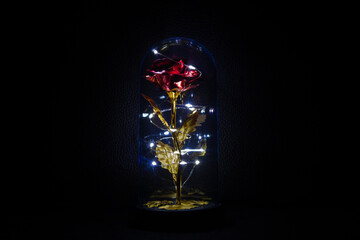 Red rose with gold leaves under a glass bulb. Background image in dark tones
