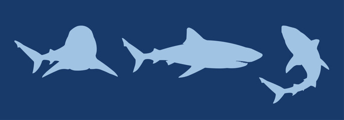 Three light blue shark silhouettes on a dark blue background