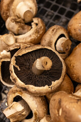 Fresh brown mushrooms in black plastic crates at local market
