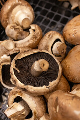 Fresh brown mushrooms in black plastic crates at local market