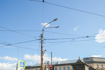 Complex network of electricity wires and streetlights against a clear blue sky, showing urban infrastructure and energy distribution.