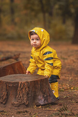 Cute young child in a yellow hooded raincoat and matching rubber boots, crouching down by a large tree stump in a park during a soft, quiet autumn day