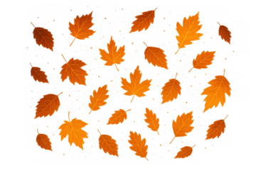 Autumn leaves falling, scattered brown and orange foliage, seasonal fall design element on transparent background