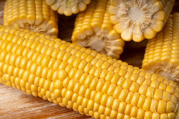 Sweet corn ears closeup. Fresh maize cob macro texture, autumn sweetcorn, corncob close up