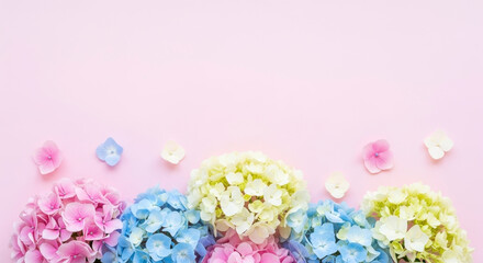 Delicate pastel hydrangeas bloom in a soft, airy arrangement perfect for spring and summer themes