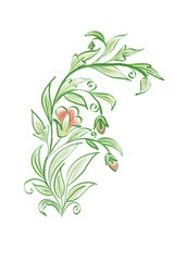 ornate hand-drawn green and red floral design element on white background