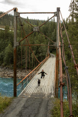 Obraz premium Man and his dog on a wooden hanging bridge in Scandinavia.