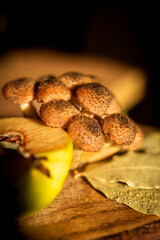Honey mushrooms with bay leaves and quince on a rustic wooden table