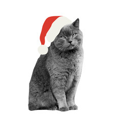 British shorthair Santa cat decorative halftone element for Christmas and New year design.