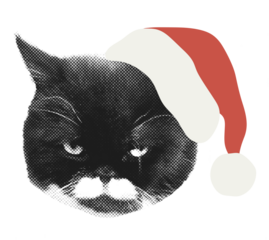 Santa cat with serious face expression cut out decorative element for collage. Christmas funny pet clip art