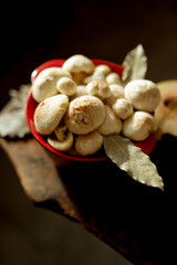 Fresh slippery jack mushrooms with bay leaf and quince on rustic background