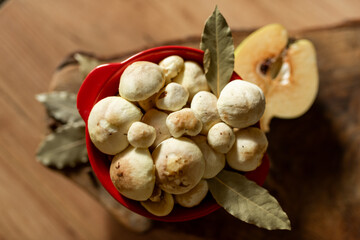 Fresh slippery jack mushrooms with bay leaf and quince on rustic background