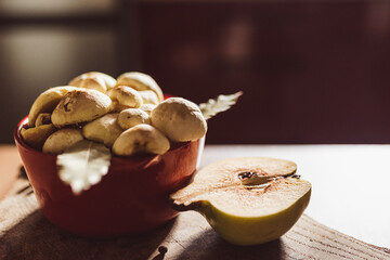 Fresh slippery jack mushrooms with bay leaf and quince on rustic background