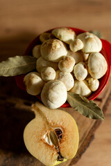 Fresh slippery jack mushrooms with bay leaf and quince on rustic background