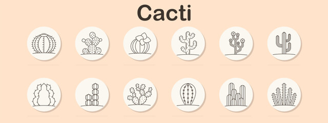 Cacti set icon. Rounded cactus, blooming cactus, segmented barrel, desert plant arms, spiked clusters, ribbed shapes, tall vertical types drawn with lined botanical cactus collection.