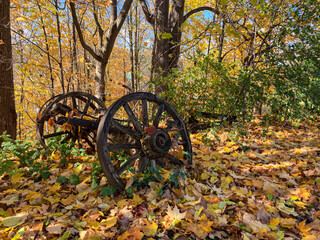 Weathered wooden wagon wheel among fallen leaves in an autumn forest with warm sunlight and golden foliage. Symbol of history, decay, and rustic charm.
