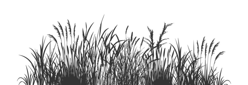 Background with silhouettes of cattails and reeds.