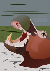 Hippo in the river at sunset. Vector illustration for your design