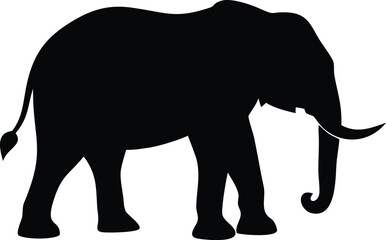 elephant vector illustration