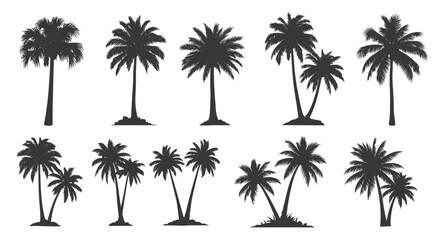 Palm tree silhouettes collection, various shapes and sizes, isolated.