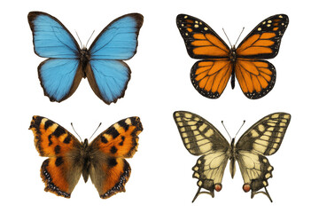 Obraz premium Collection of diverse butterfly species showcasing vibrant wings, isolated on a transparent background
