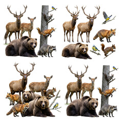 A comprehensive collection of diverse wild animals including deer, bears, foxes, raccoons, squirrels, and birds arranged against a transparent checkered background