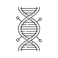 Vector art of stylized line art representation of a dna double helix structure with connecting nodes, symbolizing genetics and biotechnology