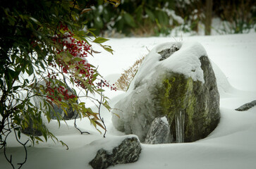 snow covered tree and water fountain